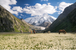 Naturerlebnis Kirgistan, 8 Tage