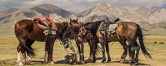 Bereisen Sie das wilde Kirgistan auf abenteuerliche Weise hoch zu Pferd
