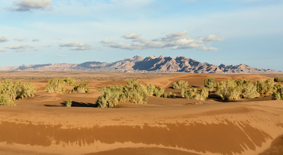 Iran Wüstentour Kawir Kawir Wüsten Tour Iran